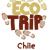 Posicionamiento SEO de Ecotripschile Patagonia